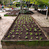 PREFEITURA DE MANAUS CONSTRÓI VIVEIRO DE PLANTAS MEDICINAIS NO PARQUE DO MINDU