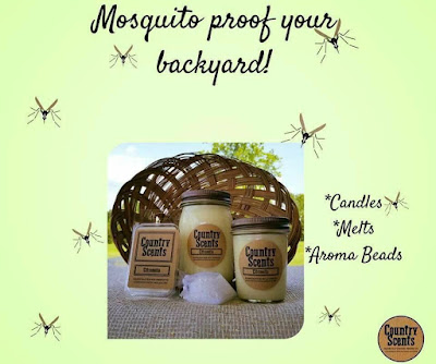 Keep Those Nasty Mosquito Away This Summer 