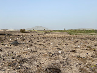 A field of vines near Akrotiri, Santorini.