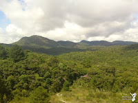 Pão de Loth (Minhocas da Terra)