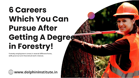 6 Careers Which You Can Pursue After Getting A Degree in Forestry!