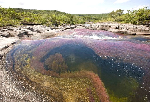 cano cristales