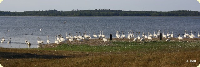 IMG_9431