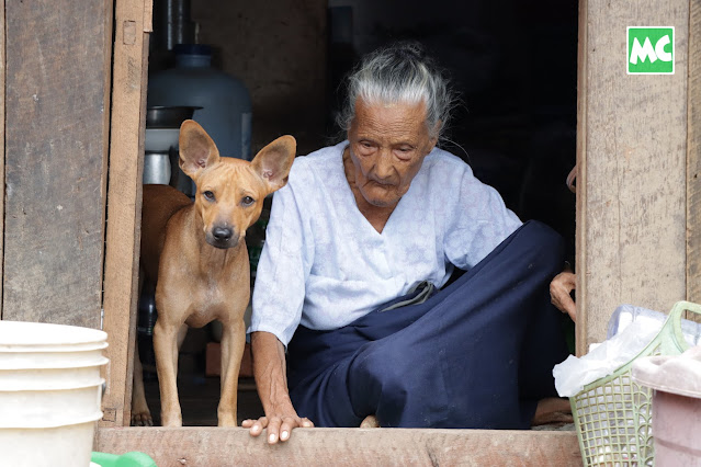 ခွေးလေးတွေကို အဖော်ပြုနေရတဲ့ အသက် (၁၀၄) နှစ် အဖွား