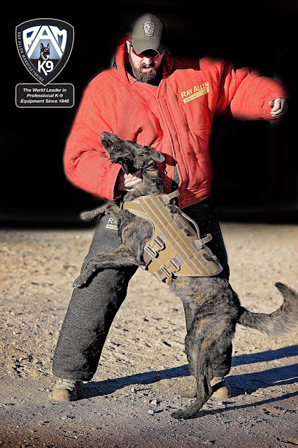 Working Dog Photographer | Maddox & Co. | Colorado Ray Allen K-9