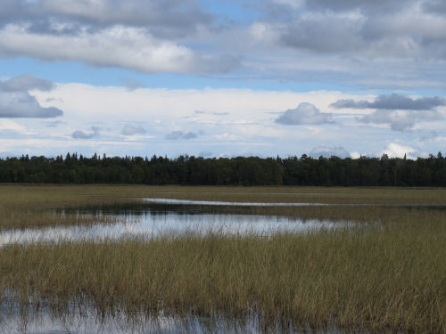 Tamarack Wildlife refuge