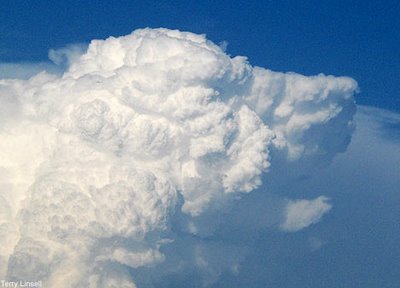 Cloud Pictures that look like things