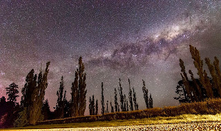 arboles con noche despejada, noche estrellada, paisaje noche despejada y estrellada