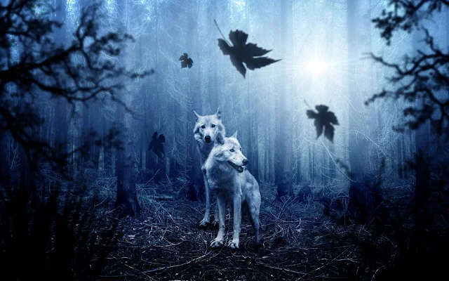 Wolves Forest Night Fantasy HD wallpaper. Click on the image above to download for HD, Widescreen, Ultra HD desktop monitors, Android, Apple iPhone mobiles, tablets.