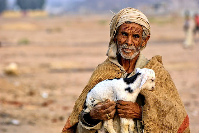 hombre beduino desierto cabra