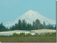 RSCN6439