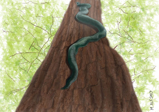 Snake climbing a tree