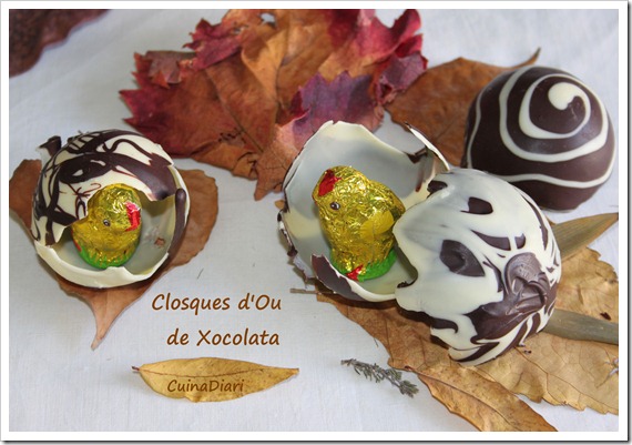 6-5-closca dou xoco-ppal-