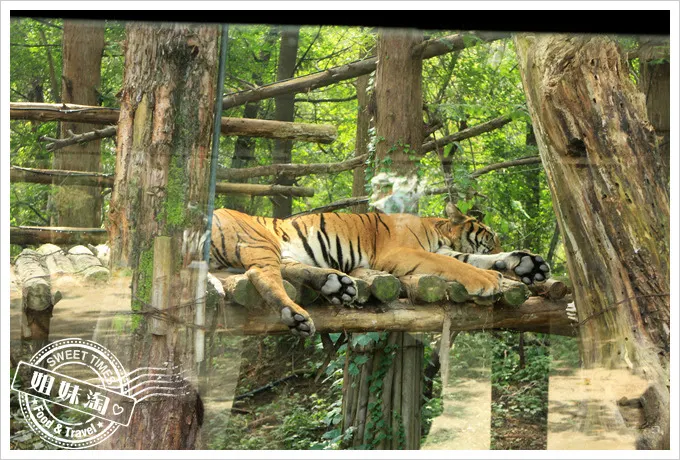 Safari World野生動物世界