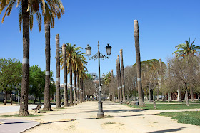 Paseo de las palmeras en el Parque del Retiro (Jerez)
