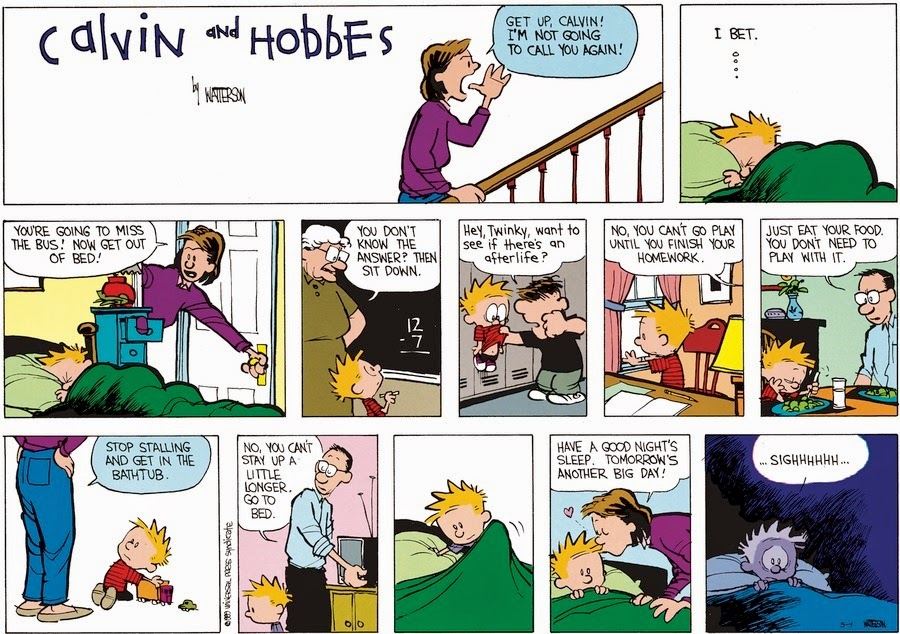 http://www.gocomics.com/calvinandhobbes/2014/05/04#mutable_1150023