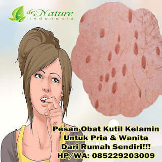 Obat Kutil Kelamin