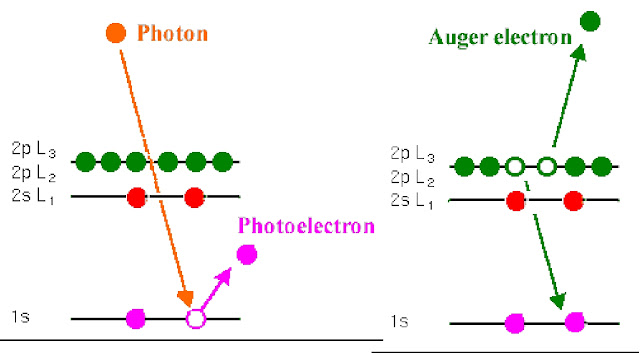 Auger Xps1