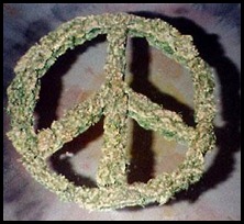 maconha paz hempadao hempada laricas de informação hemp marijuana