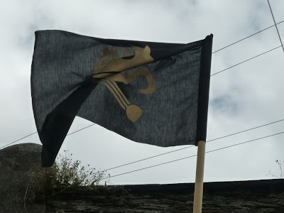 dalek pirate party flag