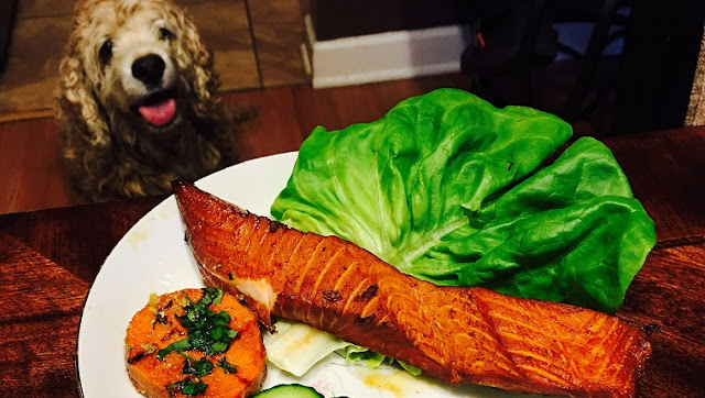 Can Dogs Eat Salmon? Is Salmon Safe For Dogs?