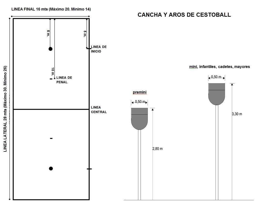 Cestoball Argentino Reglamento De Cestoball