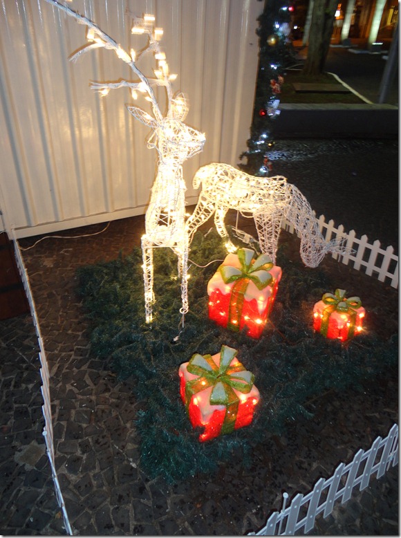 DSC05251 DSC05251