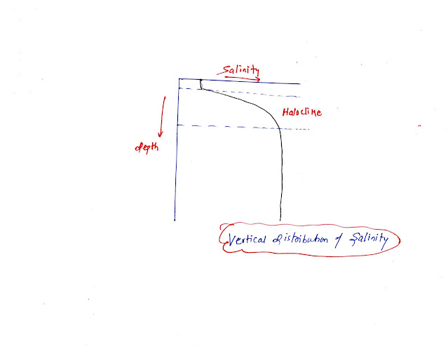 Vertical Distribution of Salinity: