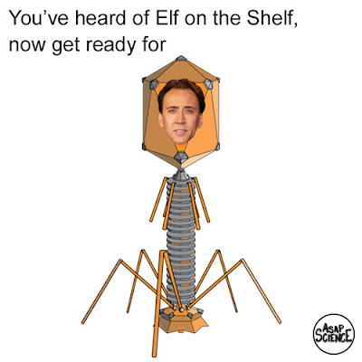 Cage on the phage