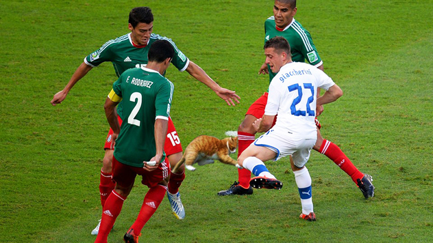 Copa Confederaciones Brasil 2013 | Ximinia