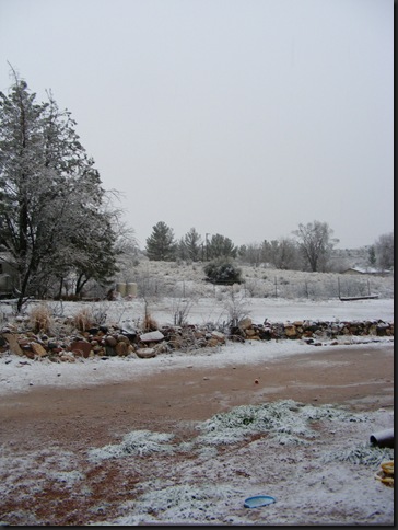 the other half of our backyard
