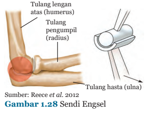 Gambar 1.28 Sendi Engsel