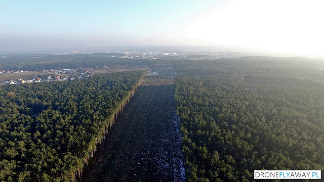 Widok z drona na wycinkę drzew w okolicy wsi Osówiec pod budowę S5