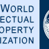 WIPO focuses on non-infringements