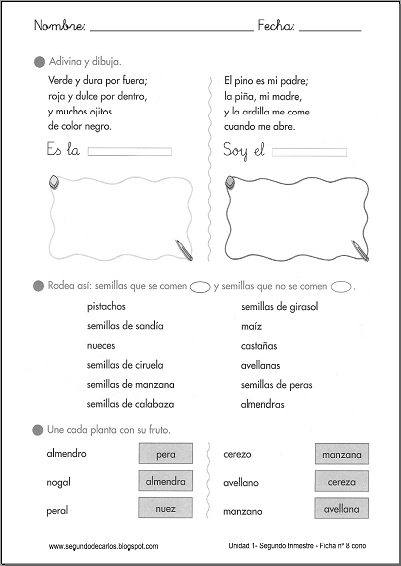 http://www.primerodecarlos.com/SEGUNDO_PRIMARIA/enero/tema1/fichas/cono/cono8.pdf