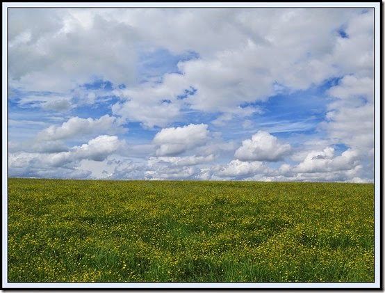 0833field