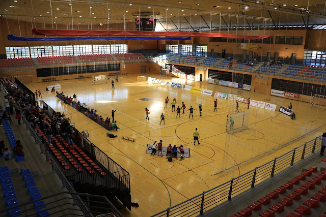 Partido de balonmano en Lasesarre