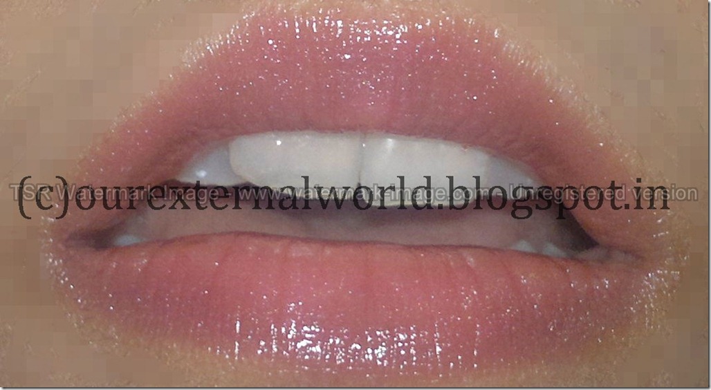 tips-and-toes-lipgloss-lip-swatch2