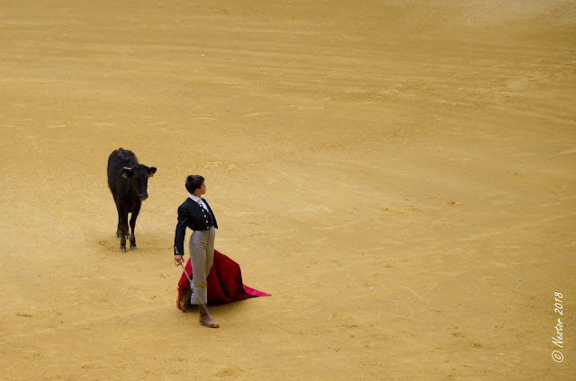 Fiestas San Mateo 2018. Logroño - La Rioja