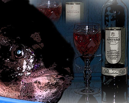 pm_fisk_vin