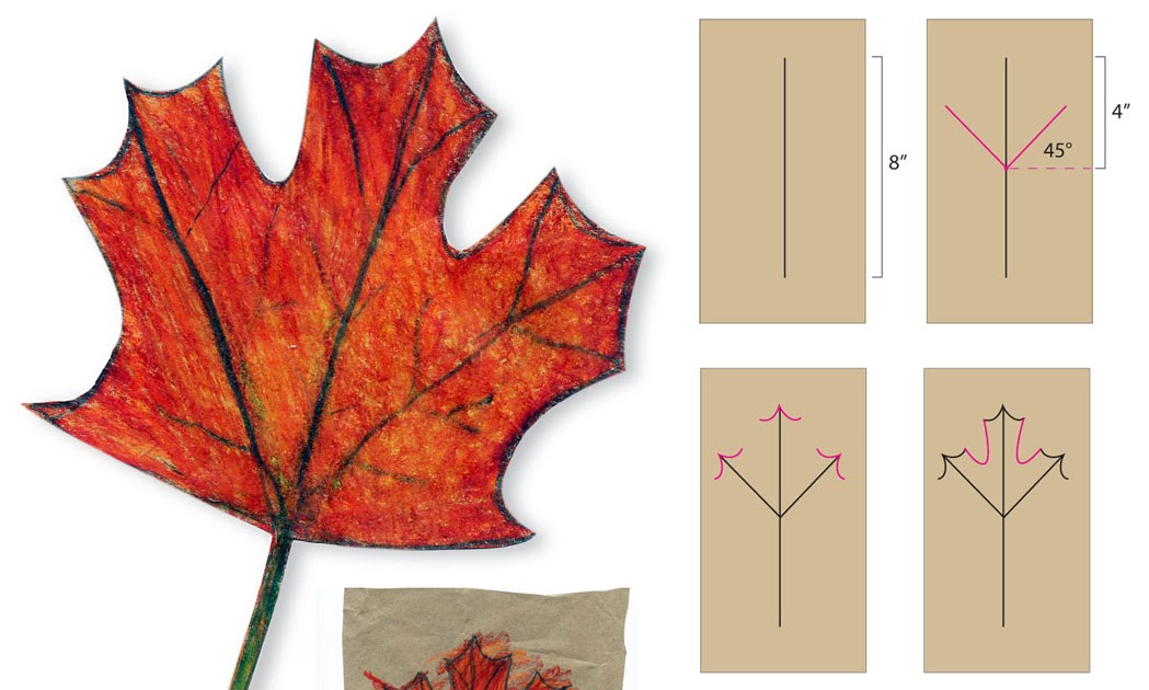 How to Draw A Maple Leaf ~ Art ProjectsArt Projects for Kid