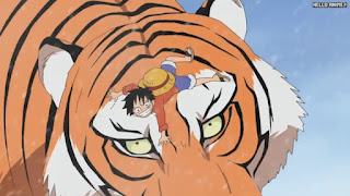 ワンピースアニメ 498話 ルフィ 幼少期 | ONE PIECE Episode 498 ASL