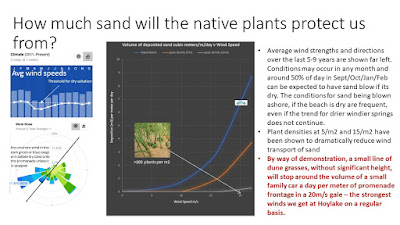 How much sand will the plants protect us from