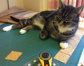Suzi the cat helps out with rotary cutting