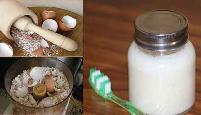 Cara Membuat Odol dari  Kulit Telur untuk Perkuat Lapisan 