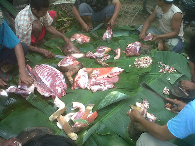 Hasil carian imej untuk ‪orang batak makan orang‬‏