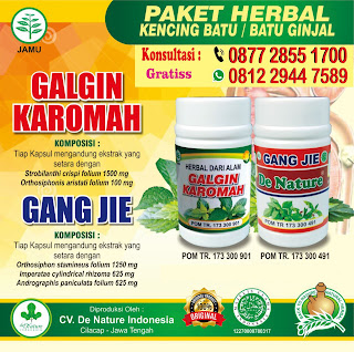 jual obat herbal untuk kencing batu yang ampuh dan manjur