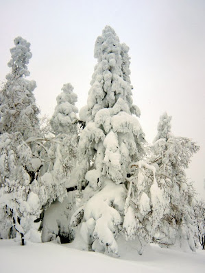 八甲田山