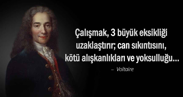 voltaire sözleri - Çalışmak, 3 büyük eksikliği uzaklaştırır