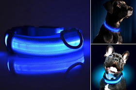 collares para perros LED